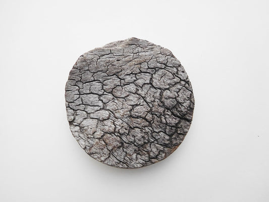 Recent Works: Weathered and Worn