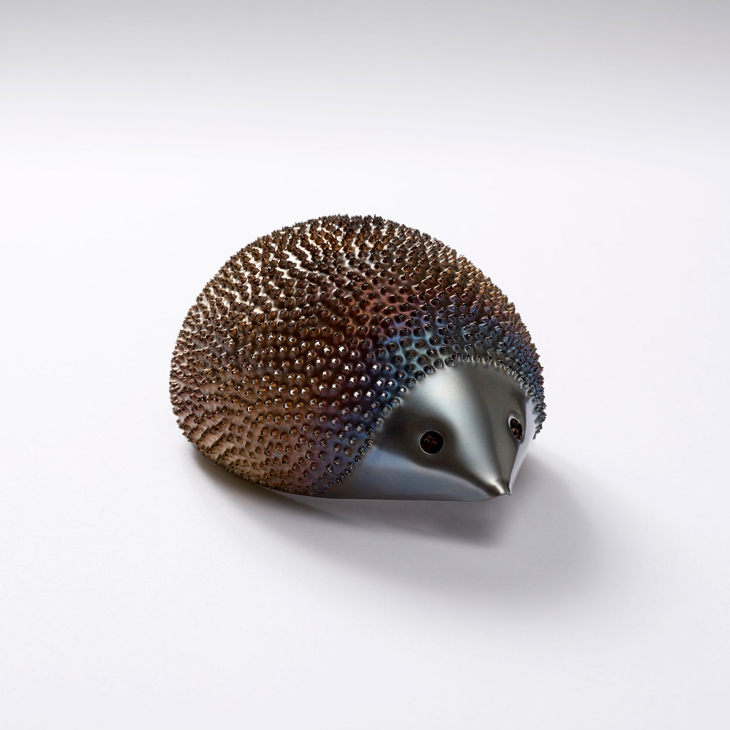 'Hedgehog'
