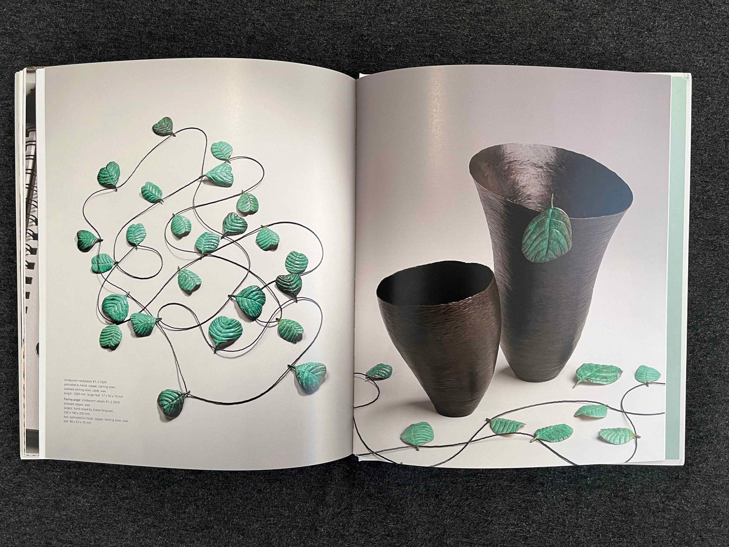 Julie Blyfield: Chasing a Passion