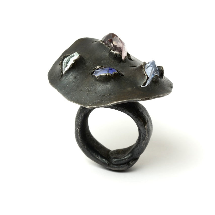 Ring KF81