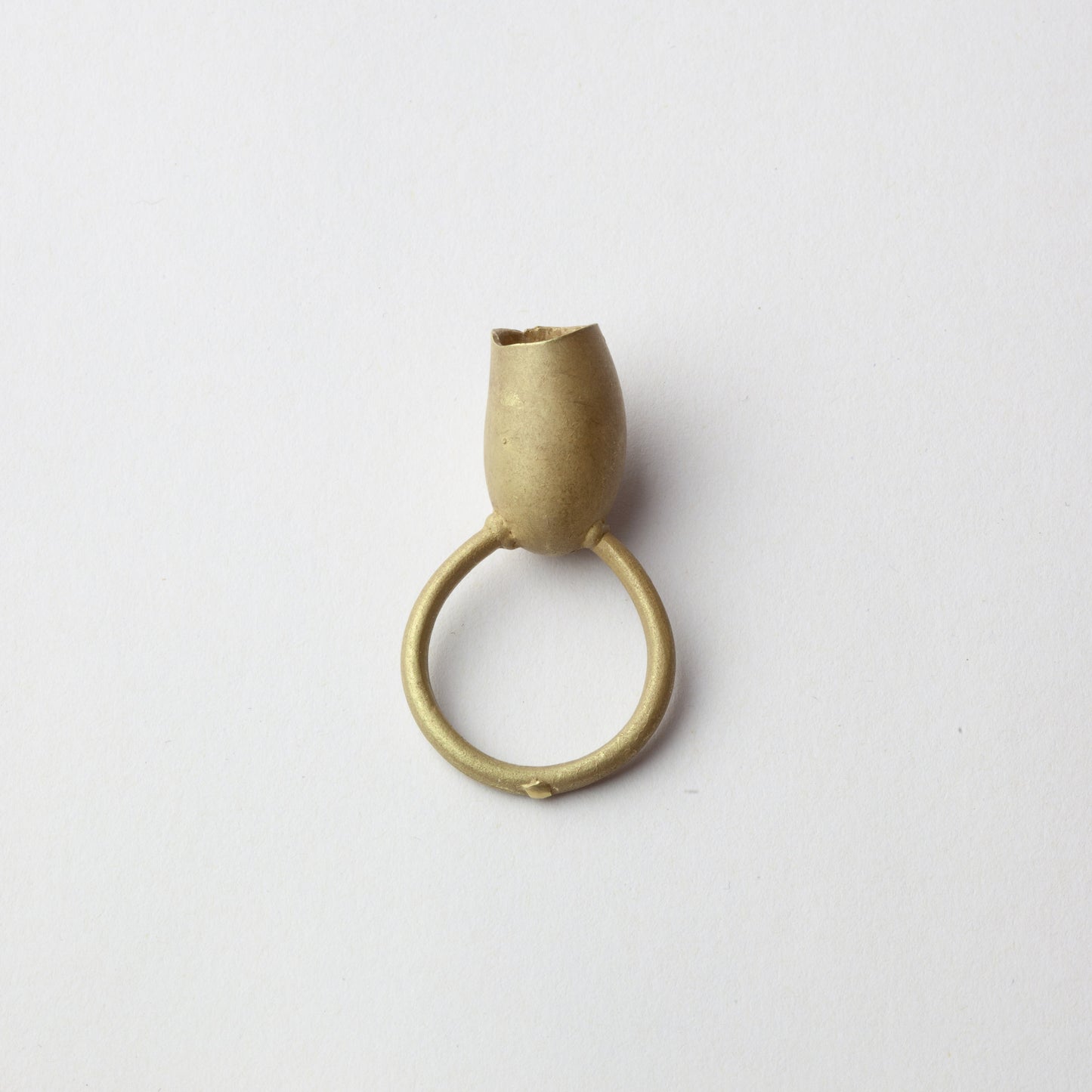 Tulip ring, 2005
