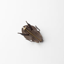 'Dung Beetle' brooch