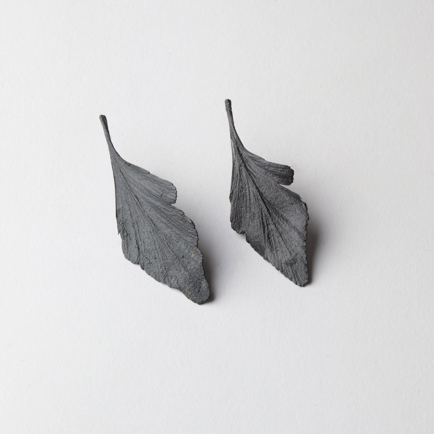 'Celery Top Pine' earrings