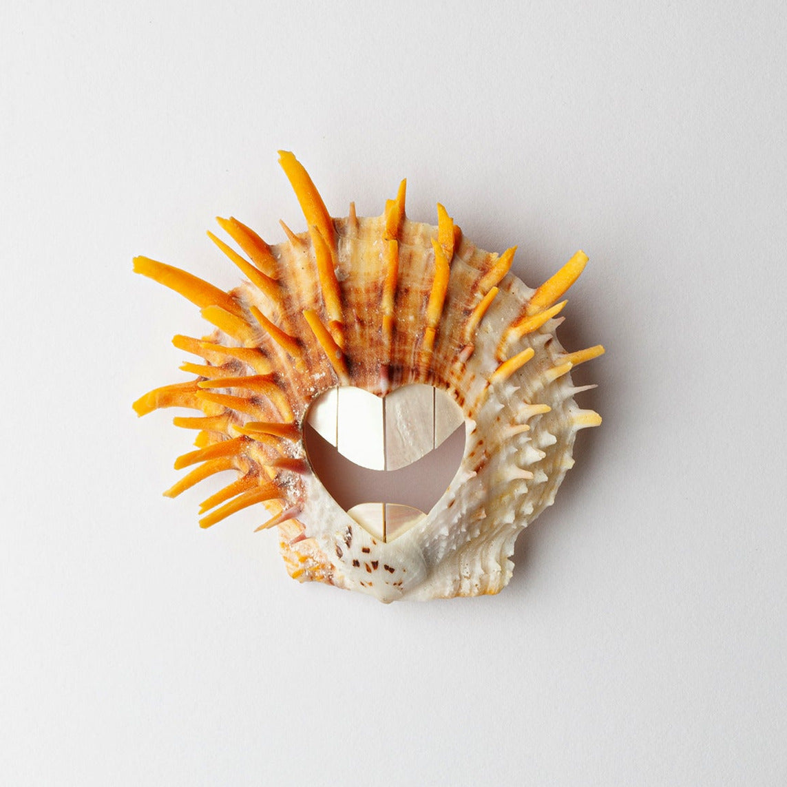 'Pearly Whites' brooch