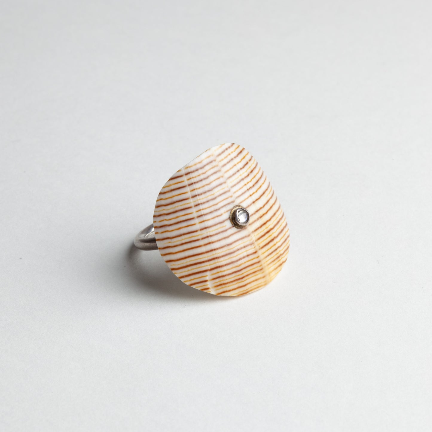 Shell & moonstone ring