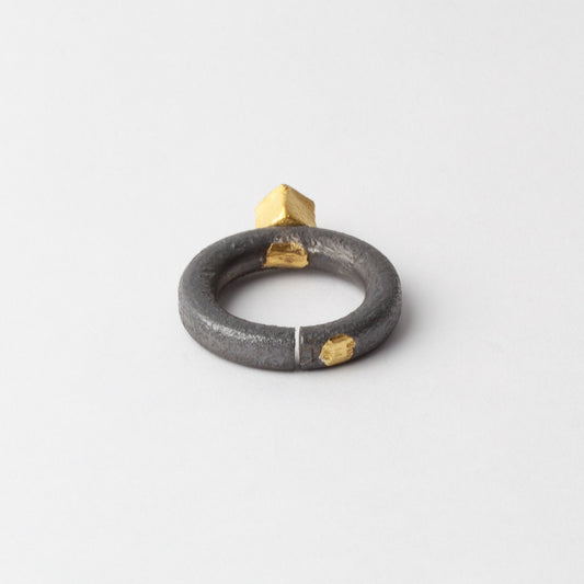 Titanium ring with gold
