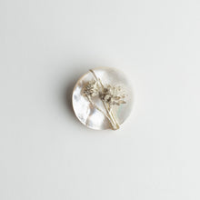 'Huon Pine seed' brooch
