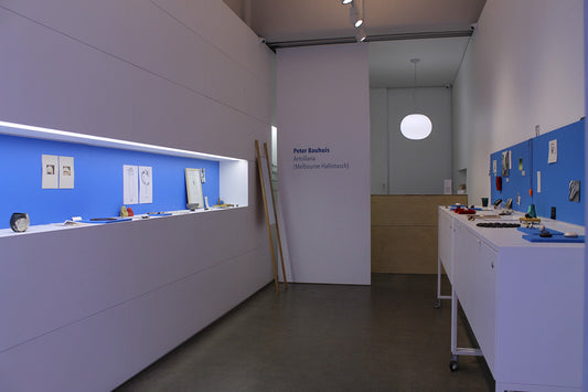 Armillaria (Melbourne Hallimasch)