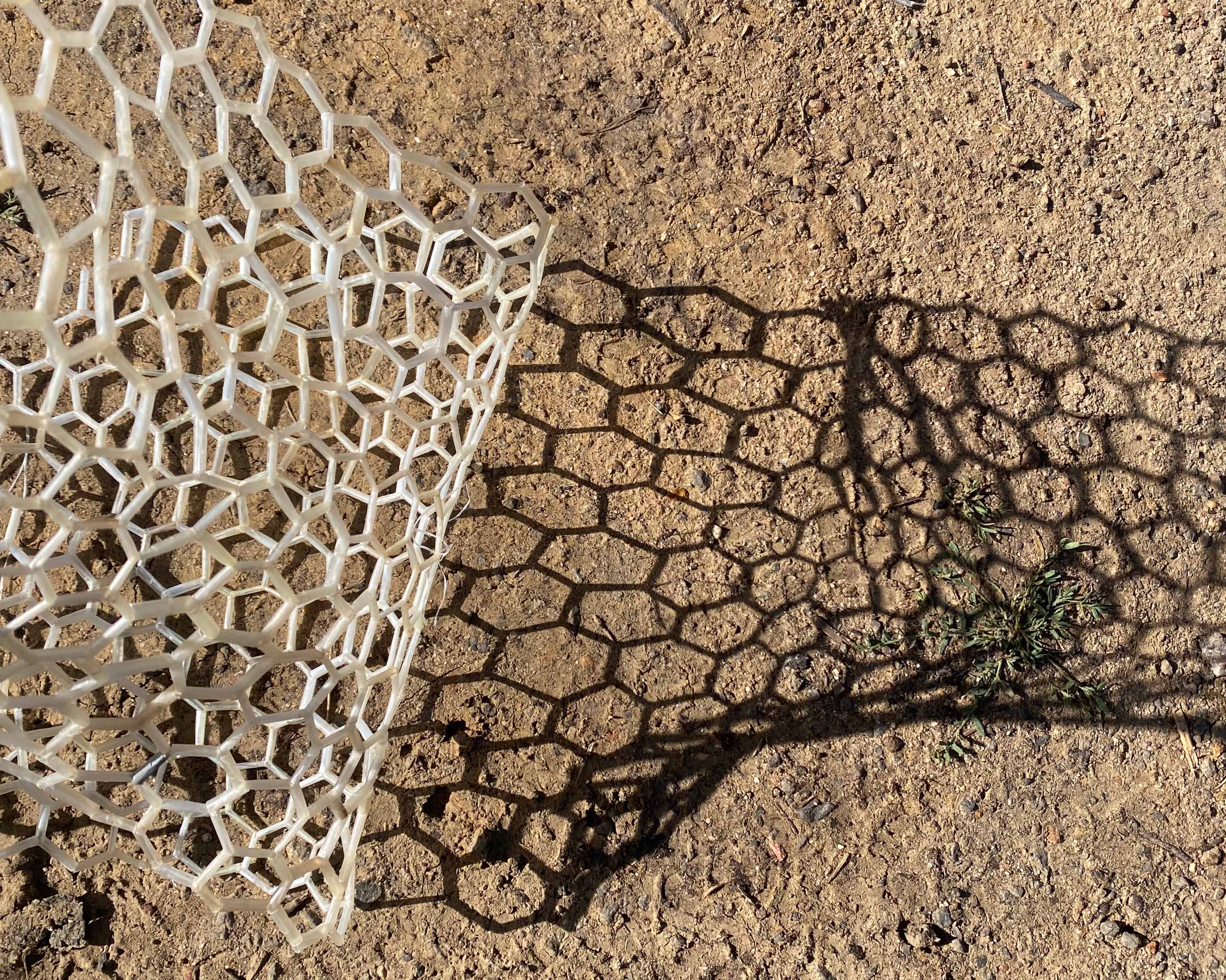 I love you all the same