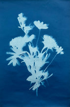 Cyanotype (sun prints)