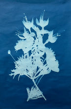 Cyanotype (sun prints)