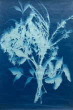 Cyanotype (sun prints)