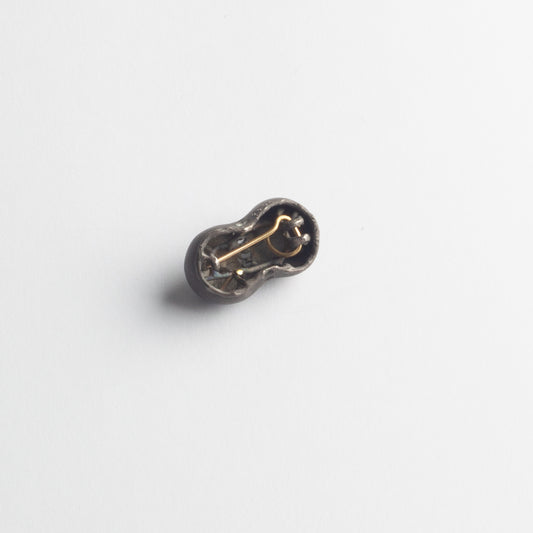 'Neophysalia' brooch