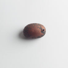 'Physalia' brooch, 2006