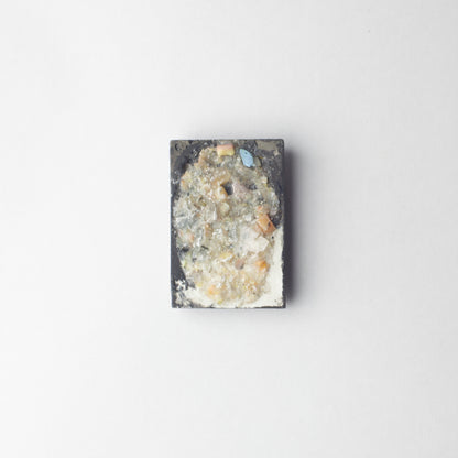 'Spring arrives as a storm of petals'