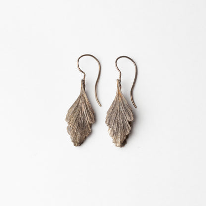'Celery Top Pine' hook earrings