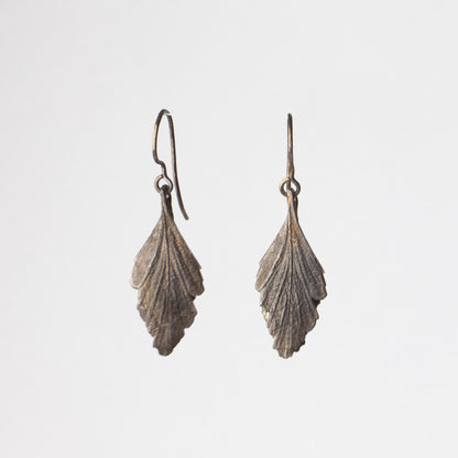 'Celery Top Pine' hook earrings