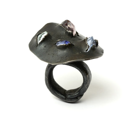 Ring KF81