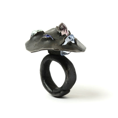 Ring KF81