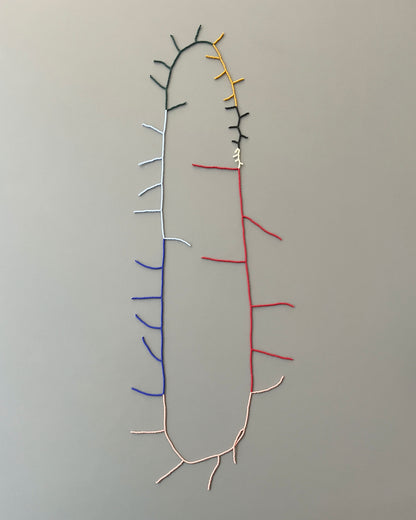 'Beads for Buildings + Bodies: Instrument No.37 (1-40)'