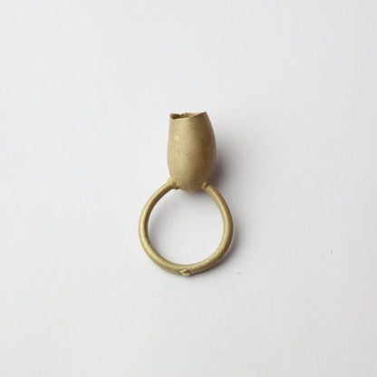 Tulip ring, 2005