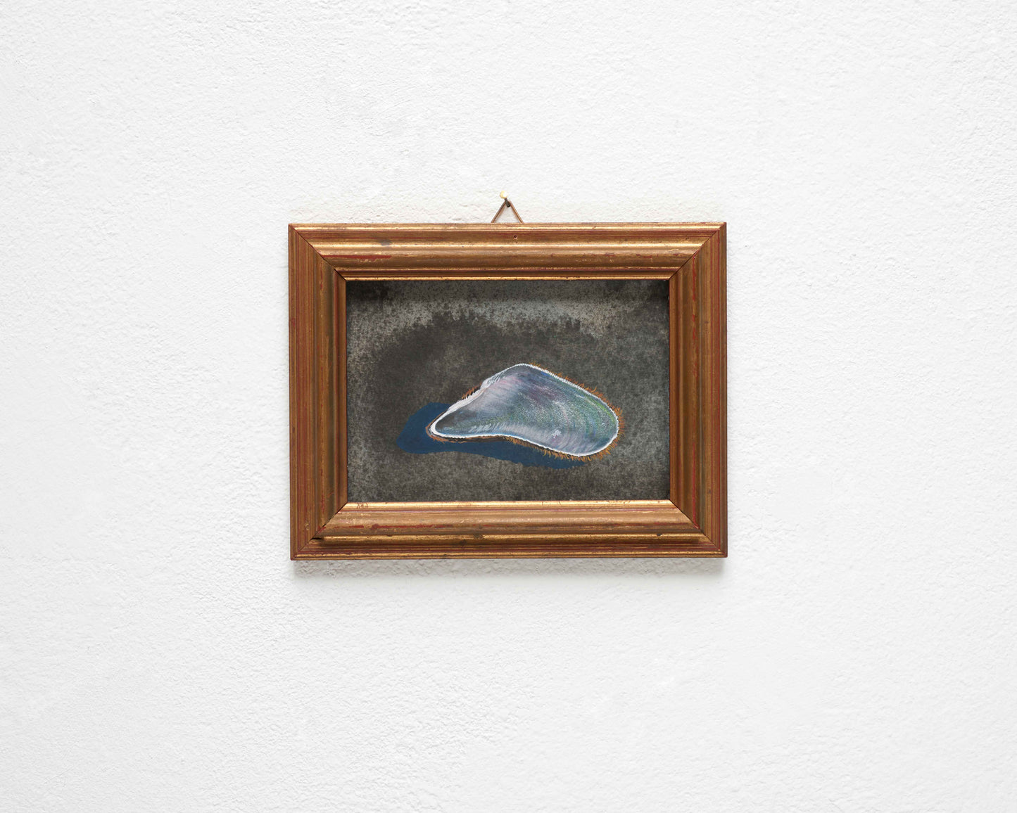 Oily Shell 2