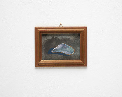Oily Shell 2