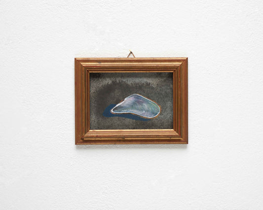 Oily Shell 2