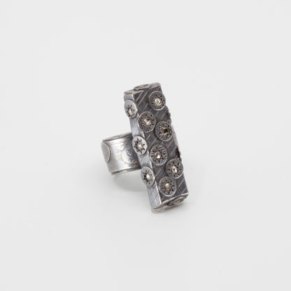 Ring, 2011