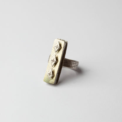 Ring, 2011