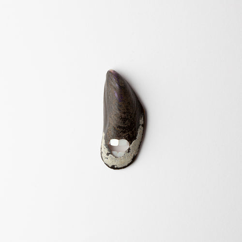 'Pearly Whites' brooch