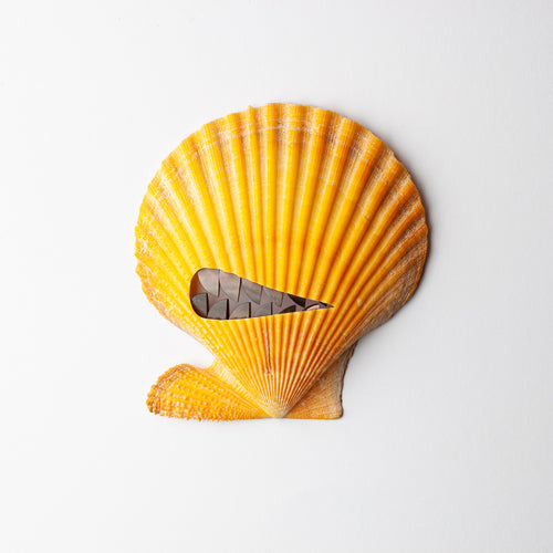 'Pearly Whites' brooch