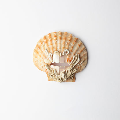 'Pearly Whites' brooch