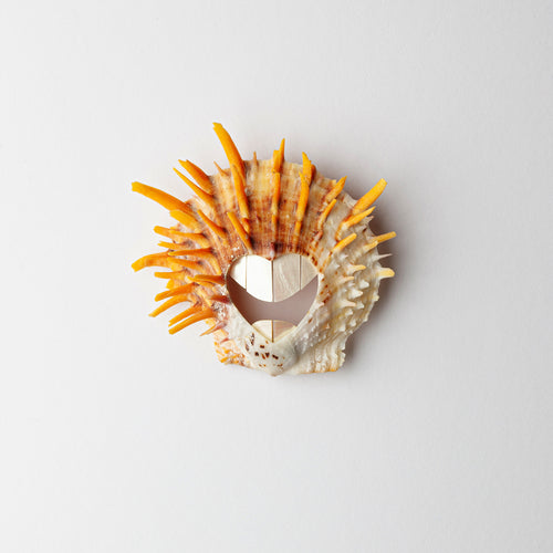 'Pearly Whites' brooch