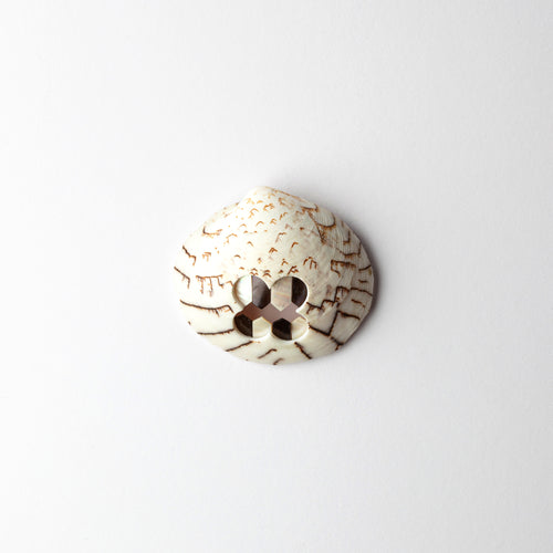 'Pearly Whites' brooch