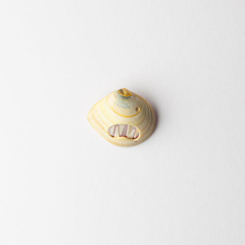 'Pearly Whites' brooch