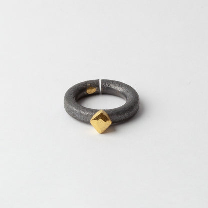Titanium ring with gold