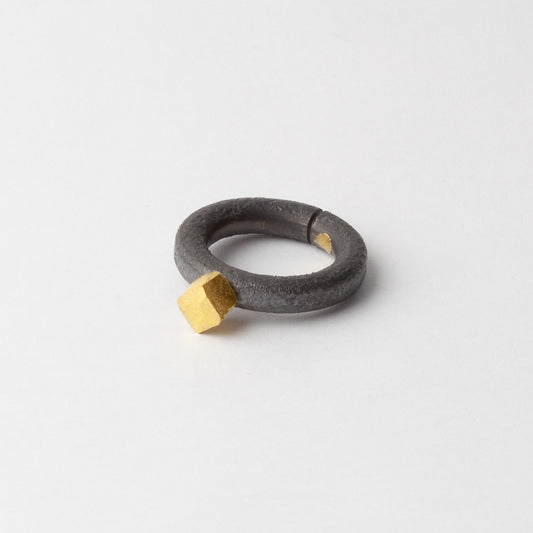 Titanium ring with gold