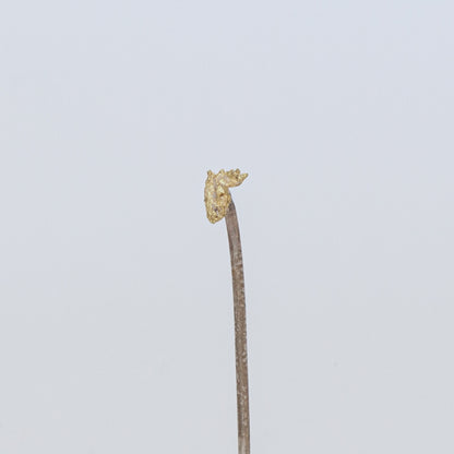 'Fussel (dust)' pin