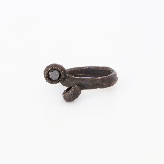 Ring KF01 (2010)