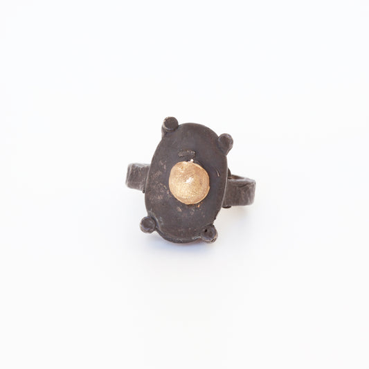 Ring KF14 (2018)