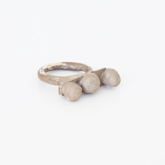 Ring KF19 (2019)