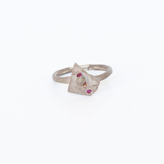 Ring KF21 (2019)