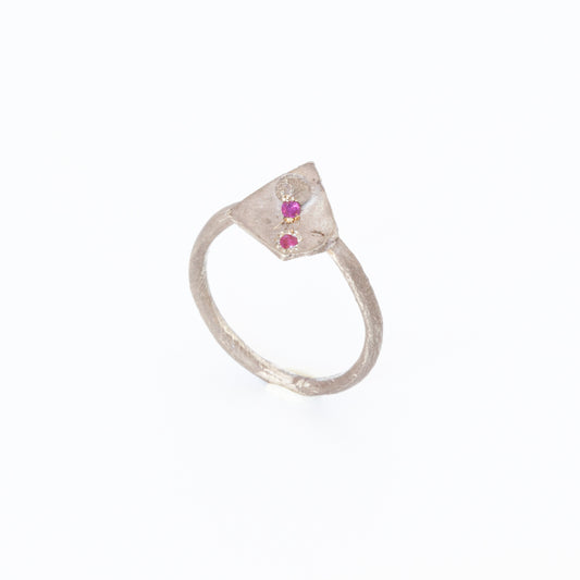 Ring KF21 (2019)