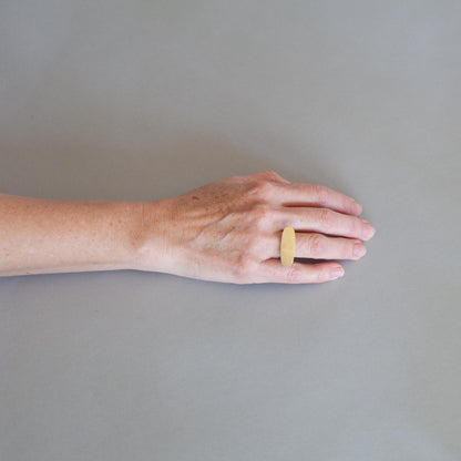 Ellipse gold & silver ring