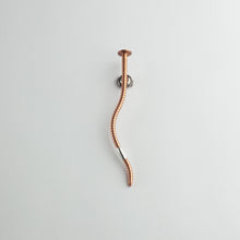 'Earthworm - I was once a nail' brooch