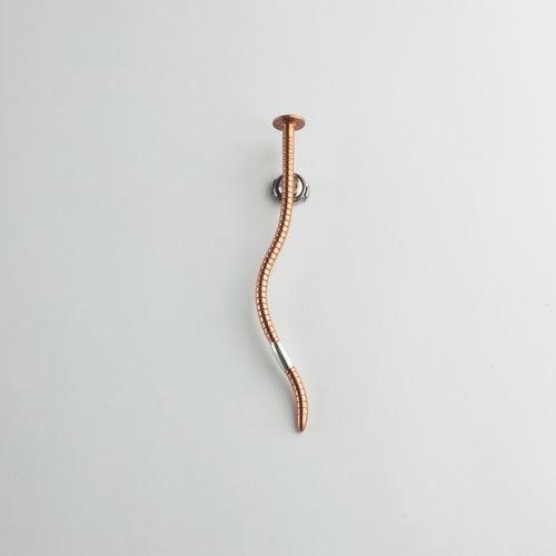 'Earthworm - I was once a nail' brooch