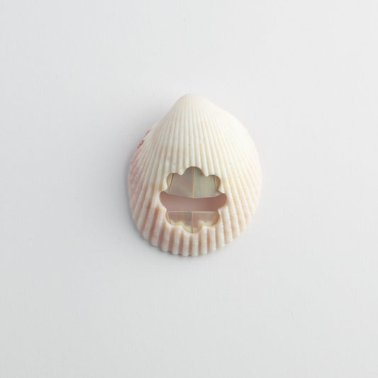 'Pearly Whites' brooch