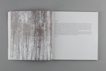 Helen Britton: Interstices