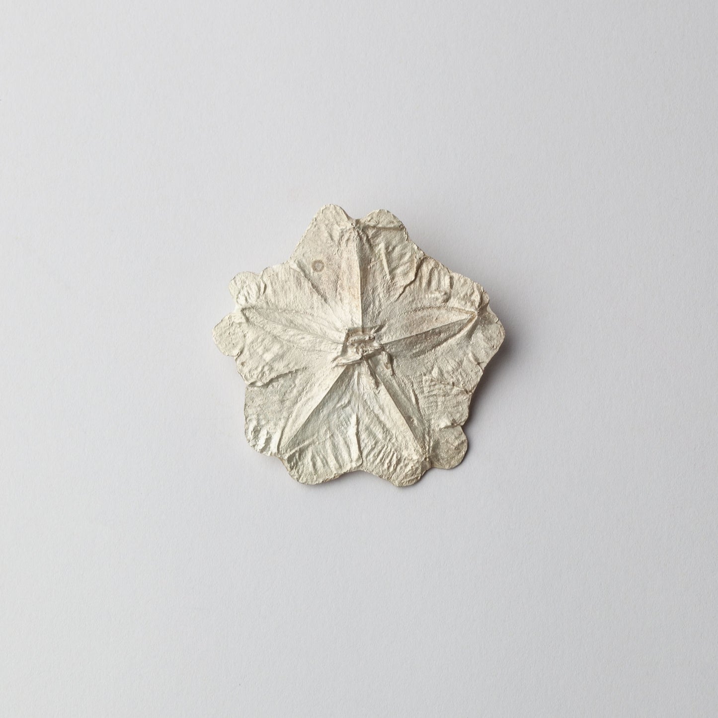 'Kangaroo Apple' (East Gippsland) brooch